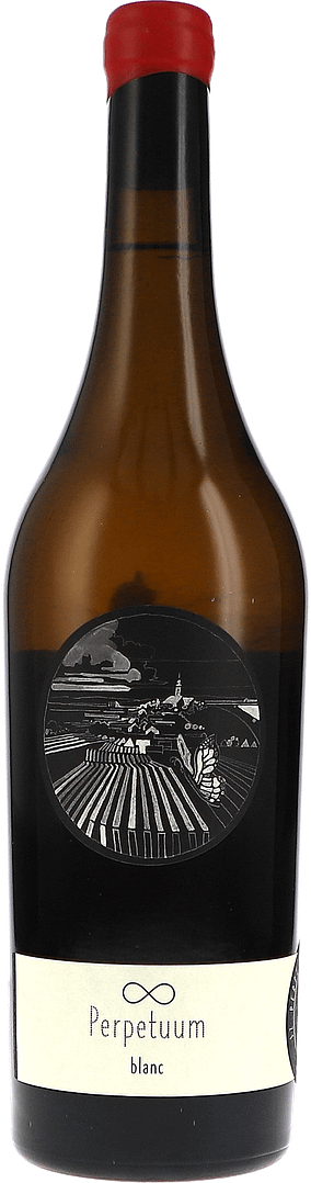 Johannes Zillinger | Weinviertel | Perpetuum blanc | 2020 | 750ml | bio