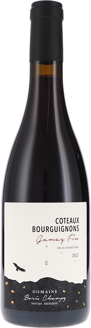 Boris Champy | Burgundy | Coteaux Bourguignons Gamay Fin AOP | 2022 | 750ml | bio