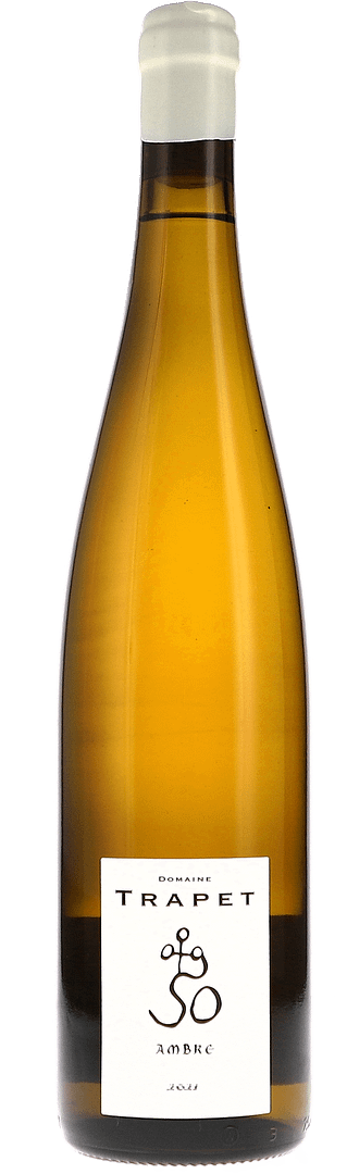 Trapet Alsace | Alsace | Ambre Blanc Muscat Macere | 2021 | 750ml | bio