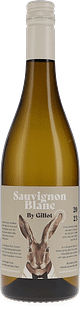 Kühling-Gillot | Rheinhessen | “Hase” Sauvignon Blanc By Gillot Trocken | 2023 | 750ml | Bio